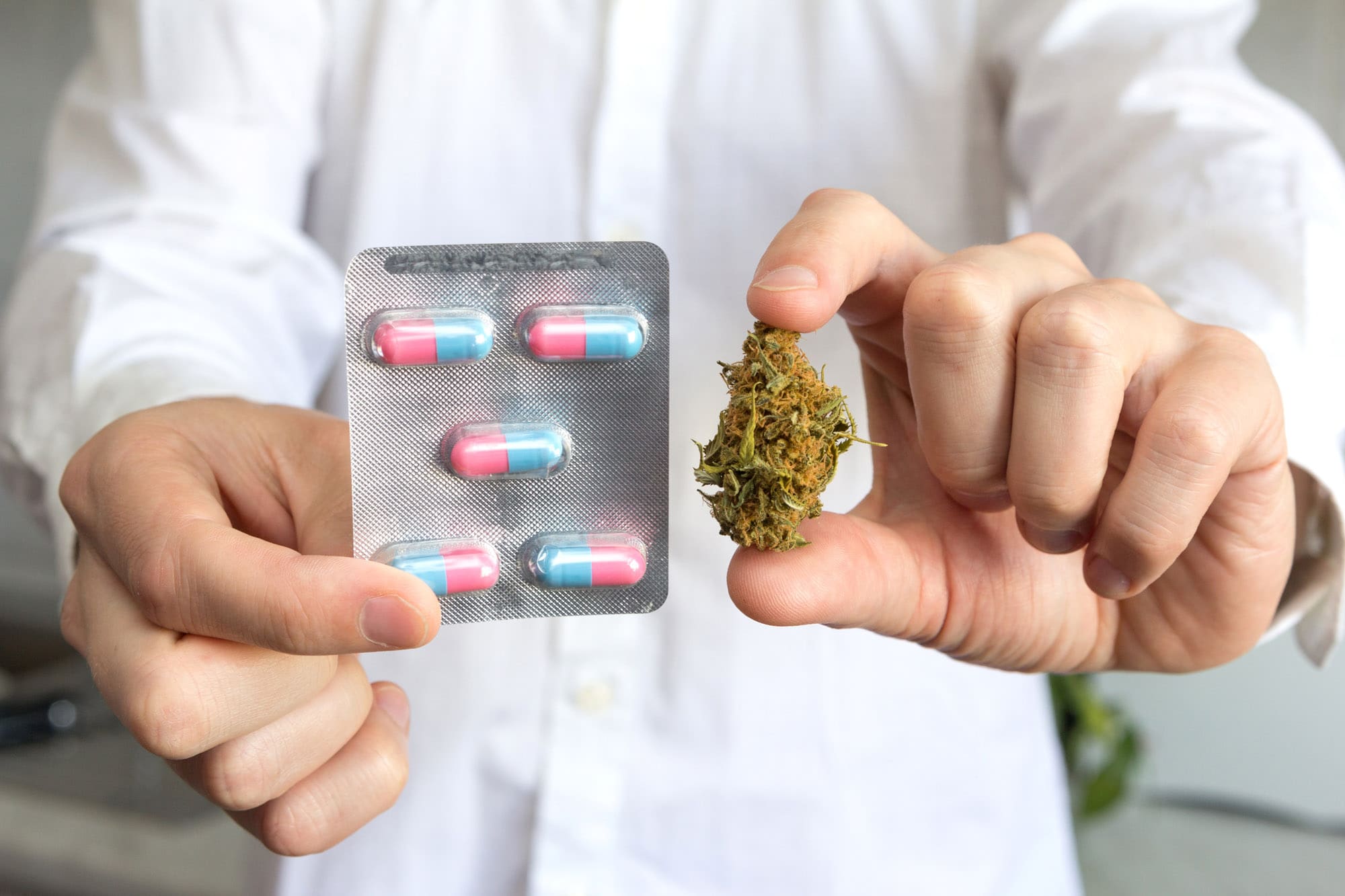 What’s the Process to Get a Medical Marijuana Card in Miami?