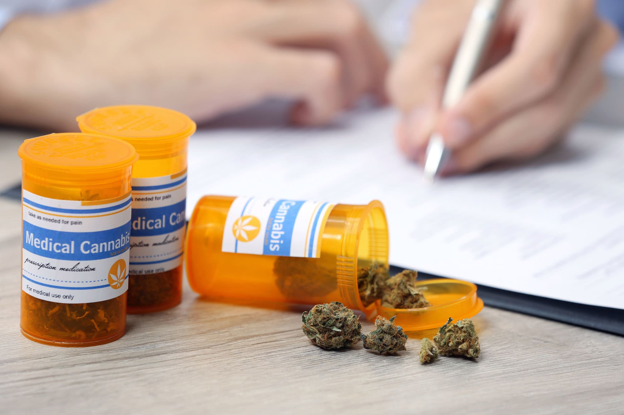 A Medical Cannabis Doctor Can Help Manage Your Medical Condition