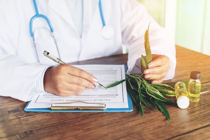 What You Need to Know About Medical Marijuana Doctors in Boca Raton